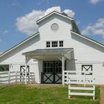 Belle Oaks Equestrian Center
Lucas Equine Photo